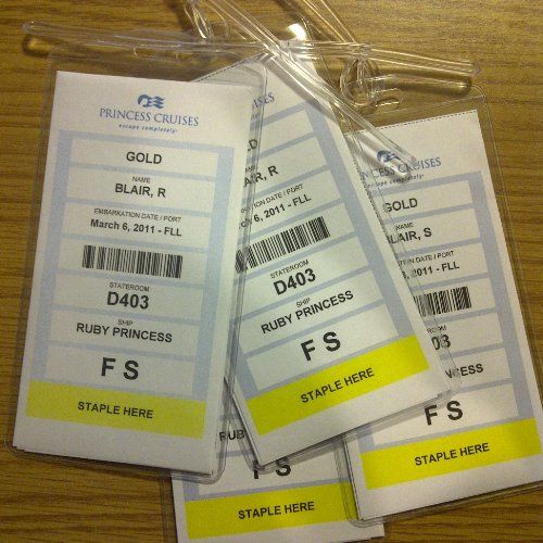  Cruisetags, Standard Cruise Ship Luggage Tags (50 Pack)