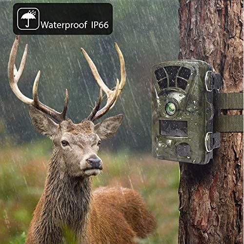  [아마존베스트]Ctronics WLAN Wildlife Camera with Motion Sensor 4K 20MP, Built-in WiFi Hunting Camera, 0.2 Second Trigger, Infrared Night Vision, 120° Wide Angle, Supports 512GB SD Card, IP66 Wat