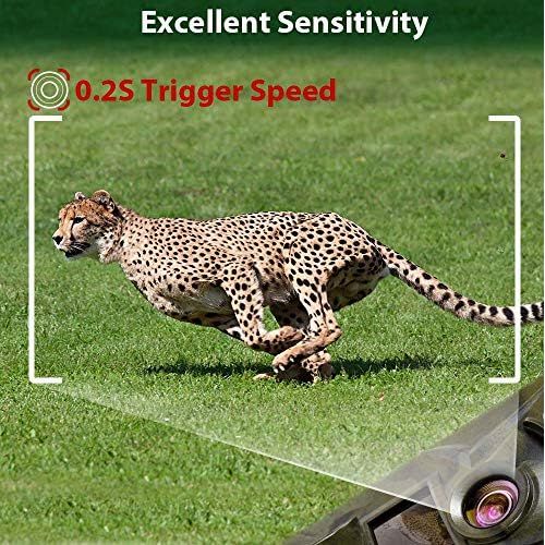  [아마존베스트]Ctronics WLAN Wildlife Camera with Motion Sensor 4K 20MP, Built-in WiFi Hunting Camera, 0.2 Second Trigger, Infrared Night Vision, 120° Wide Angle, Supports 512GB SD Card, IP66 Wat