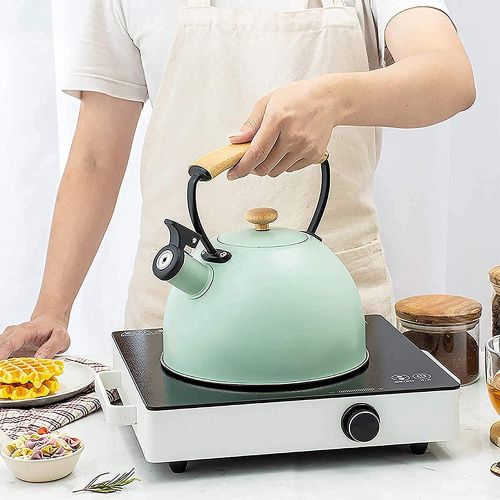  Cue and Case Tea Kettle, 2.8Liter Stainless Steel Tea Kettles for Stove Top, with Wood Pattern Handle Loud Whistling for Tea, Coffee, Milk etc, Gas Electric Applicable (Color : Green)