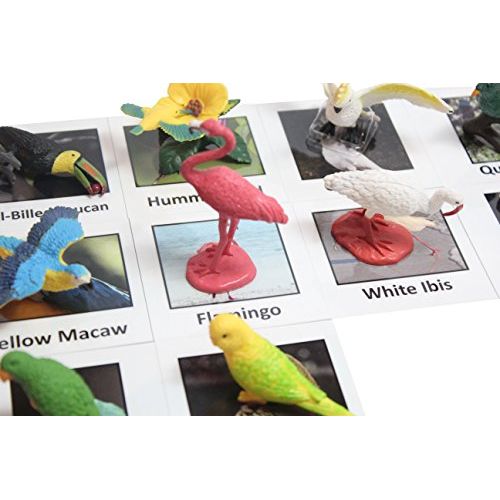  Curious Minds Busy Bags Montessori Tropical Bird Animal Match - Miniature Exotic Bird Animal Toy Figurines with Matching Cards Preschool Matching Game