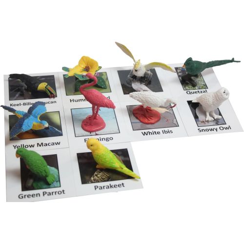  Curious Minds Busy Bags Montessori Tropical Bird Animal Match - Miniature Exotic Bird Animal Toy Figurines with Matching Cards Preschool Matching Game