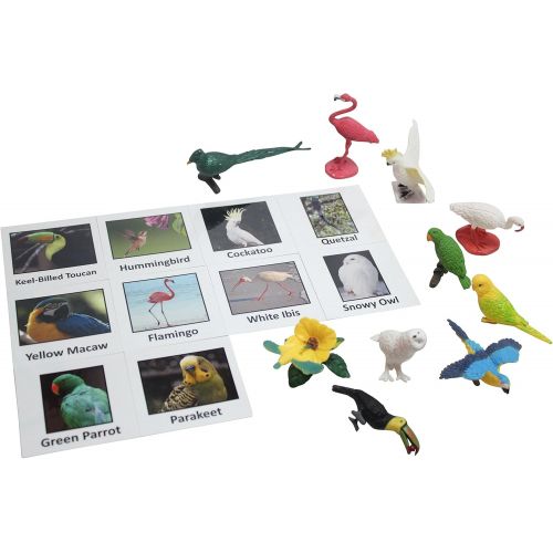  Curious Minds Busy Bags Montessori Tropical Bird Animal Match - Miniature Exotic Bird Animal Toy Figurines with Matching Cards Preschool Matching Game