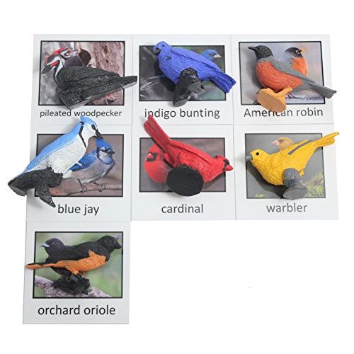  Curious Minds Busy Bags Montessori Bird Animal Match - Miniature North American Bird Animal Toy Figurines with Matching Cards Preschool Matching Game