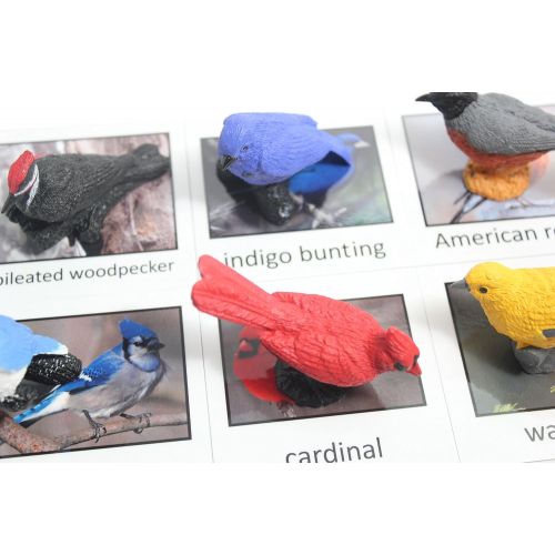  Curious Minds Busy Bags Montessori Bird Animal Match - Miniature North American Bird Animal Toy Figurines with Matching Cards Preschool Matching Game