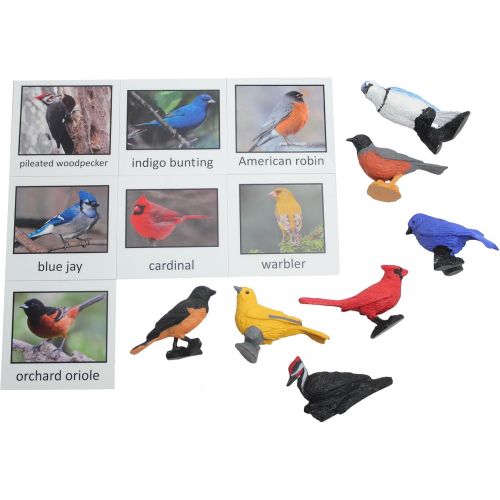  Curious Minds Busy Bags Montessori Bird Animal Match - Miniature North American Bird Animal Toy Figurines with Matching Cards Preschool Matching Game