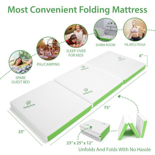  Cushy Form Tri-Fold Folding Mattress w/Storage & Carry Case - Best As Kids Guest Bed, Camping, RV, Cot, Floor Mat - Ultra Soft Removable Washable Cover, Foldable, Portable & Compact [75 x 25