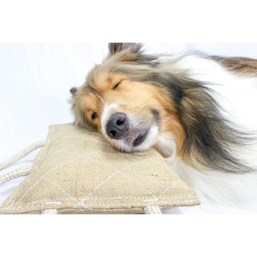  CuteNfuzzy Organic Dye-Free K9 Jute Bite