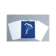 Cyanotype Store Cyanotype Paper (8 x 10