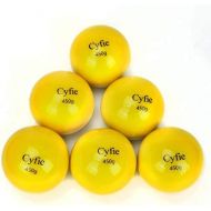 Cyfie Weighted Hitting Batting Balls, 6 Packs Practice Softballs Heavy Balls for Hitting, Batting, Pitching, Strength Muscle Training, Hand-Eye Coordination Promoting