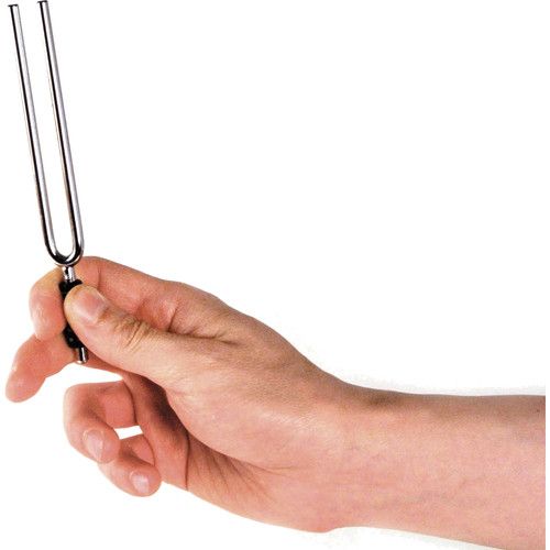  D'Addario Tuning Fork for Key of 