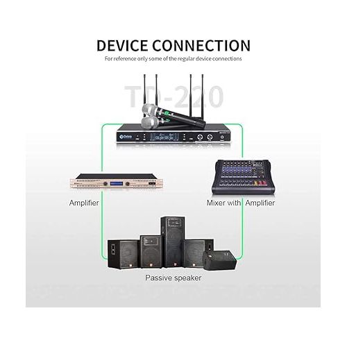  D Debra Audio New Model TD-220 Professional UHF True Diversity 2 Channel Wireless Microphones System with 2 Cordless Handheld Mic (TD-220)