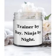 DABLIZ GROUP INTERNATION TRADING LLC Special Trainer Gifts, Trainer by Day. Ninja by Night, Inspirational Candle For Coworkers From Colleagues