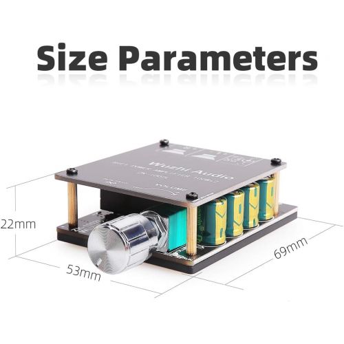  DAMGOO Bluetooth Amplifier Board, 100W+100W Peak Output Power, 2.0 Channel DC:8-24V, Password Free Connect, BT 5.0 AMP Board for DIY Wireless Speakers Board