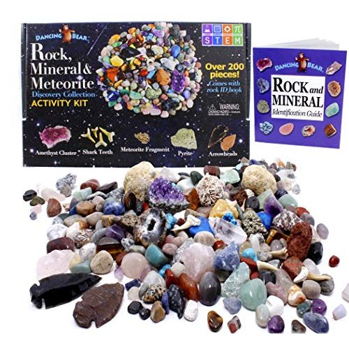  Dancing Bear Rock & Mineral Collection Activity Kit (200 Pc Set) with Meteorite, Real Shark Teeth Fossils, Arrowheads, Crystals, Gemstones, Treasure Hunt ID Sheet, STEM Science Edu