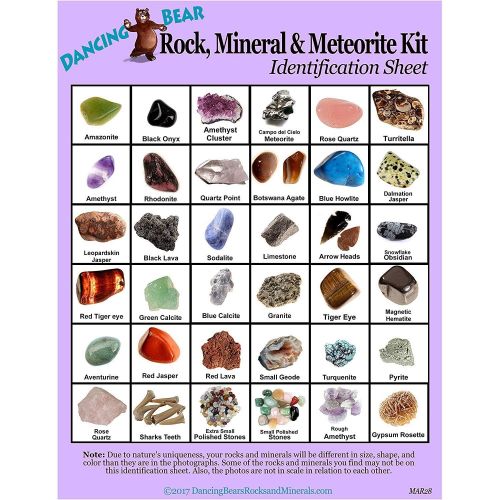  Dancing Bear Rock & Mineral Collection Activity Kit (200 Pc Set) with Meteorite, Real Shark Teeth Fossils, Arrowheads, Crystals, Gemstones, Treasure Hunt ID Sheet, STEM Science Edu