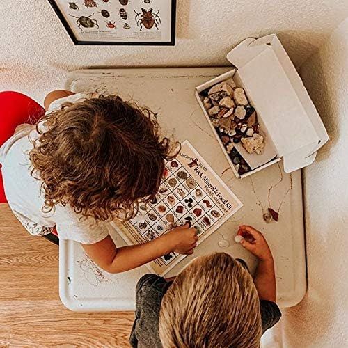  Dancing Bear Rock, Mineral & Fossil Collection Activity Kit (125+ pcs and NO GRAVEL) with 2 Geodes, Ammonite, Shark Tooth in Matrix, Fossilized Poo, Arrowheads, Plus ID Sheet & Rock book, STEM