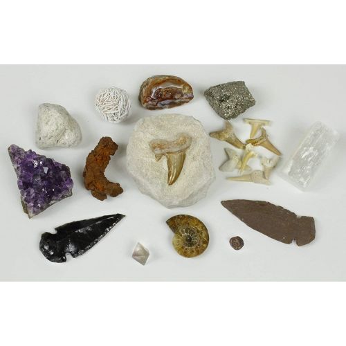  Dancing Bear Rock, Mineral & Fossil Collection Activity Kit (125+ pcs and NO GRAVEL) with 2 Geodes, Ammonite, Shark Tooth in Matrix, Fossilized Poo, Arrowheads, Plus ID Sheet & Rock book, STEM