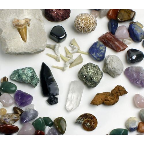  Dancing Bear Rock, Mineral & Fossil Collection Activity Kit (125+ pcs and NO GRAVEL) with 2 Geodes, Ammonite, Shark Tooth in Matrix, Fossilized Poo, Arrowheads, Plus ID Sheet & Rock book, STEM
