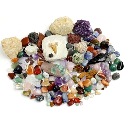  Dancing Bear Rock, Mineral & Fossil Collection Activity Kit (125+ pcs and NO GRAVEL) with 2 Geodes, Ammonite, Shark Tooth in Matrix, Fossilized Poo, Arrowheads, Plus ID Sheet & Rock book, STEM