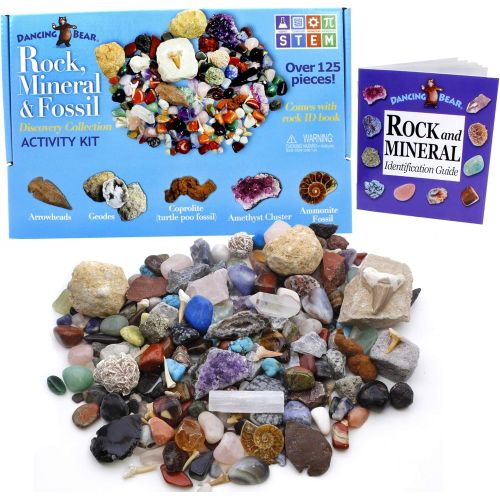  Dancing Bear Rock, Mineral & Fossil Collection Activity Kit (125+ pcs and NO GRAVEL) with 2 Geodes, Ammonite, Shark Tooth in Matrix, Fossilized Poo, Arrowheads, Plus ID Sheet & Rock book, STEM