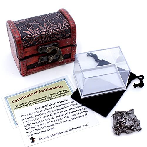  Dancing Bear Authentic Extra Large Massive 35-60 grams Meteorite, BONUS Treasure Chest Box, Display Case, Velvet Pouch, Education Card & Certificate of Authenticity, Campo Del Ciel