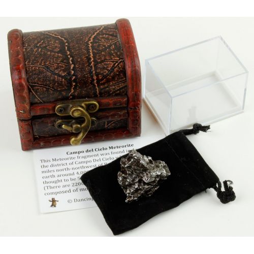  Dancing Bear Authentic Extra Large Massive 35-60 grams Meteorite, BONUS Treasure Chest Box, Display Case, Velvet Pouch, Education Card & Certificate of Authenticity, Campo Del Ciel