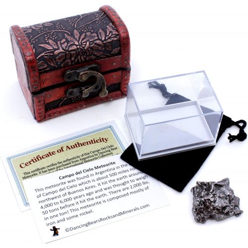  Dancing Bear Authentic Extra Large Massive 35-60 grams Meteorite, BONUS Treasure Chest Box, Display Case, Velvet Pouch, Education Card & Certificate of Authenticity, Campo Del Ciel