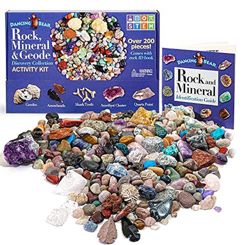  Dancing Bear Rock & Mineral Collection Activity Kit (200+Pcs) with Geodes, Shark Teeth Fossils, Arrowheads, Crystals, Gemstones for Kids, Rock Book, Treasure Hunt ID Sheet, STEM Sc