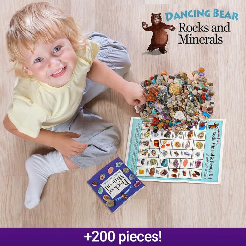  Dancing Bear Rock & Mineral Collection Activity Kit (200+Pcs) with Geodes, Shark Teeth Fossils, Arrowheads, Crystals, Gemstones for Kids, Rock Book, Treasure Hunt ID Sheet, STEM Sc