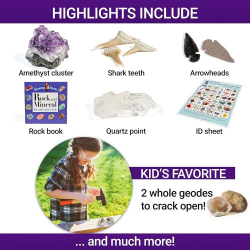  Dancing Bear Rock & Mineral Collection Activity Kit (200+Pcs) with Geodes, Shark Teeth Fossils, Arrowheads, Crystals, Gemstones for Kids, Rock Book, Treasure Hunt ID Sheet, STEM Sc