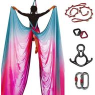 DASKING Premium Aerial Silks Equipment - Safe Deluxe Aerial Kit