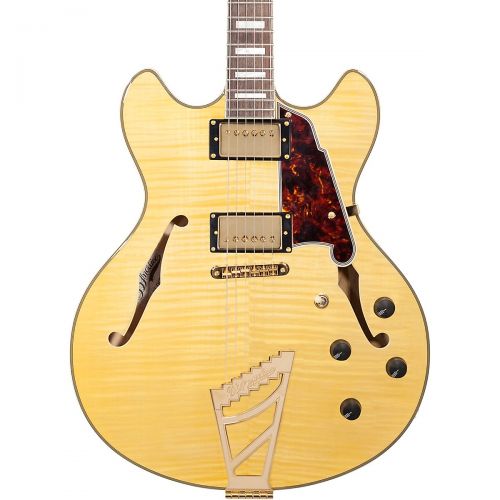  DAngelico},description:The EX-DC features a semi-hollow laminated flame maple back, top, and sides with a mahogany block running the entire length of its body helping to fight feed