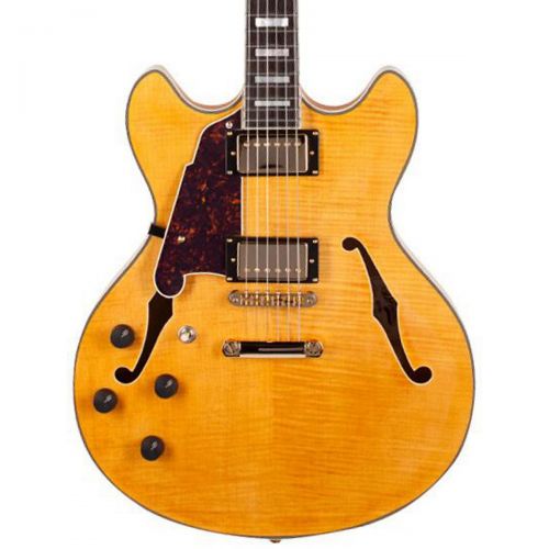  DAngelico Open-Box Excel Series DC Left-Handed Semi-Hollowbody Electric Guitar with Stopbar Tailpiece Condition 1 - Mint Natural