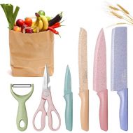 [아마존베스트]DCYSO Kitchen Knife Set of 6 Pieces in Gift Box, Professional Stainless Steel Colored Ultra Sharp Chef Knives Set, Unique Gift for Friends, Family,Birthday,Christmas,Camping