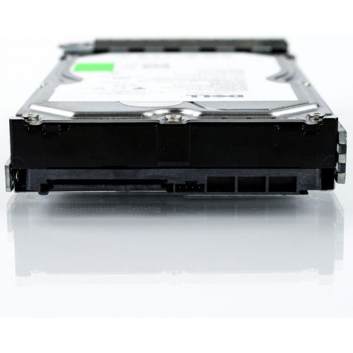 델 Dell CP464 1TB 7.2K 3GBps 3.5 Nearline SAS Hard Drive in Poweredge R Series Tray