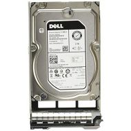 Dell 400 ALOB C36WJ 2TB 7.2K RPM NLSAS 12Gb/s 512n 3.5 inch Hot Plug Gen 13 R7FKF Dell Tray Enterprise Hard Disk Drive