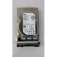 Dell 3TB 7.2K RPM 6Gb/s 3.5 SAS HD Mfg # 91K8T (Comes with drives & tray)