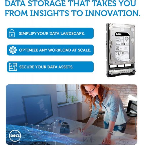 델 Dell 400 ALCR 6TB 7.2K SAS 12Gb/s 3.5 Inch Hard Drive in G13 Tray Bundle with Compatily Screwdriver Compatible with C5G97 NWCCG 400 AHFM 0NWCCG 8D1V4 PRNR6 400 AFNY 400 ANSC 400 AK