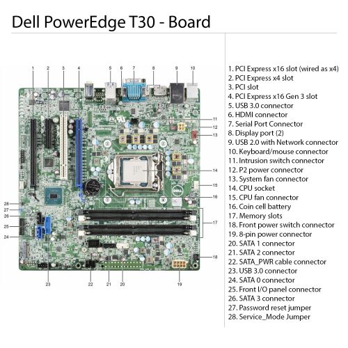 델 Dell PowerEdge T30 Tower Server - Intel Xeon E3-1225 v5 Quad-Core Processor up to 3.7 GHz, 24GB DDR4 Memory, 512GB Solid State Drive, Intel HD Graphics P530, DVD Burner, No Operati