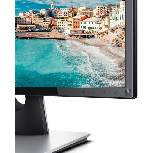 델 Dell SE2216H 22 -Inch Screen LED-Lit Monitor