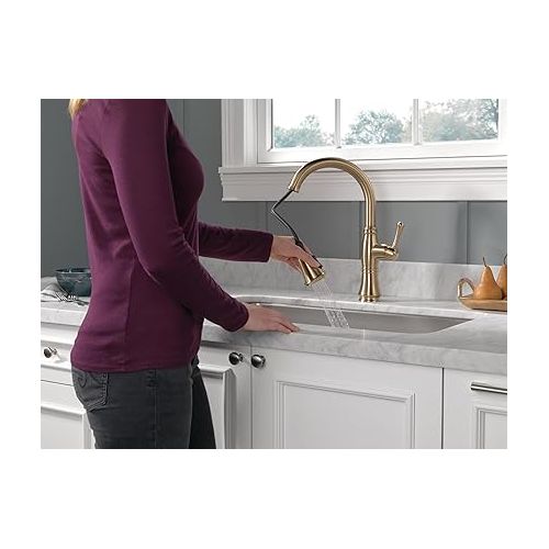  Delta Faucet Cassidy Gold Kitchen Faucet, Kitchen Faucets with Pull Down Sprayer, Kitchen Sink Faucet, Gold Faucet for Kitchen Sink with Magnetic Docking, Lumicoat Champagne Bronze 9197-CZ-PR-DST