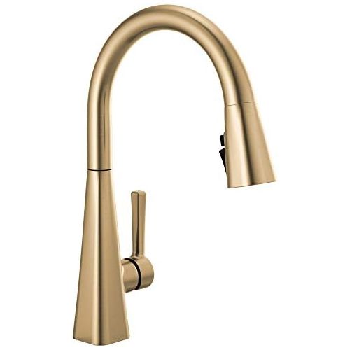  Delta Faucet Lenta Single-Handle Kitchen Sink Faucet with Pull Down Sprayer and Magnetic Docking Spray Head, Champagne Bronze 19802Z-CZ-DST