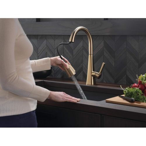  Delta Faucet Lenta Single-Handle Kitchen Sink Faucet with Pull Down Sprayer and Magnetic Docking Spray Head, Champagne Bronze 19802Z-CZ-DST