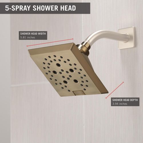  DELTA FAUCET Delta 52664-SS H2Okinetic 5-Setting Raincan Shower head, Stainless