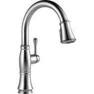 DELTA FAUCET Delta Faucet Cassidy Single-Handle Kitchen Sink Faucet with Pull Down Sprayer, ShieldSpray Technology and Magnetic Docking Spray Head, Arctic Stainless 9197-AR-DST