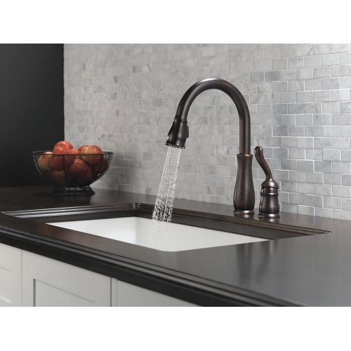  DELTA FAUCET Delta Faucet Leland Single-Handle Kitchen Sink Faucet with Pull Down Sprayer and Magnetic Docking Spray Head, Venetian Bronze 978-RB-DST