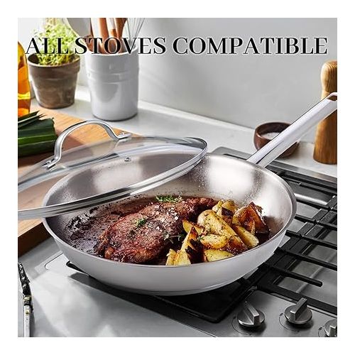  DELUXE Stainless Steel Pan, 11 Inches Oil Gather Pro Skillet with Lid and 3-ply Heavy Bottom, PFOA Free Frying Pot with Stay-cool Handle Cooking In All Induction Gas Stove Oven Dishwasher Safe
