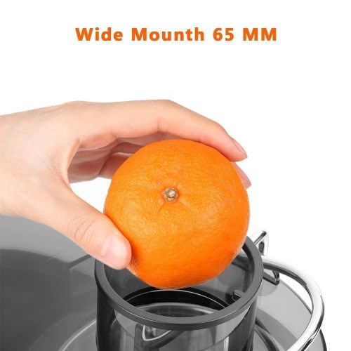  DEMU Demu Juicer Stainless Steel Cutting Discs Juicer Juice For Fruit Vegetable