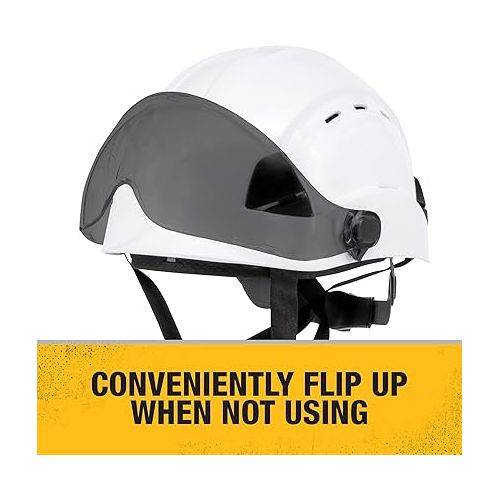  DEWALT DPG22-SH Visor with Premium Anti-fog+ Smoke Lens Designed to Fit DPG22 Type II Helmet